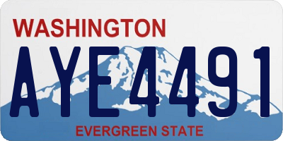 WA license plate AYE4491