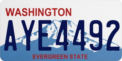 WA license plate AYE4492