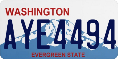 WA license plate AYE4494
