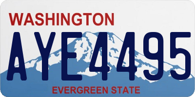 WA license plate AYE4495
