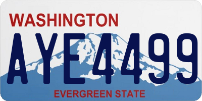 WA license plate AYE4499