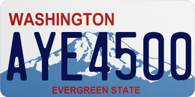 WA license plate AYE4500