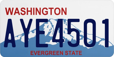 WA license plate AYE4501