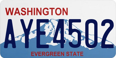 WA license plate AYE4502