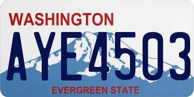 WA license plate AYE4503