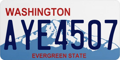 WA license plate AYE4507