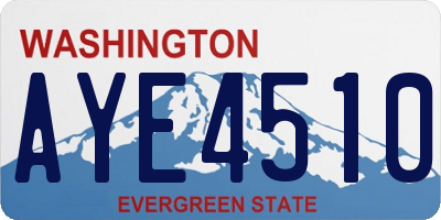 WA license plate AYE4510
