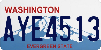 WA license plate AYE4513