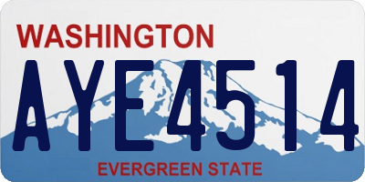 WA license plate AYE4514