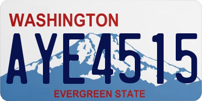 WA license plate AYE4515