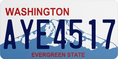 WA license plate AYE4517