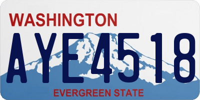 WA license plate AYE4518