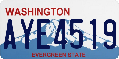 WA license plate AYE4519