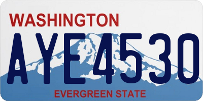 WA license plate AYE4530
