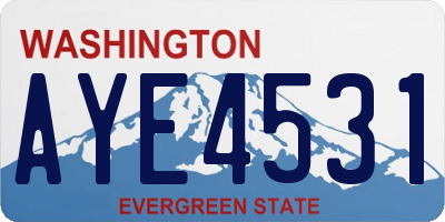 WA license plate AYE4531