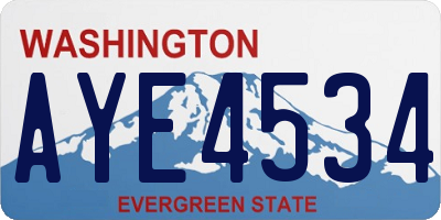 WA license plate AYE4534