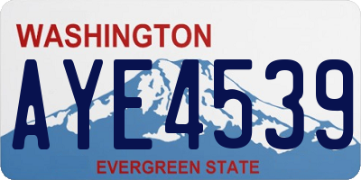WA license plate AYE4539