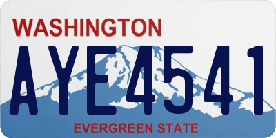 WA license plate AYE4541