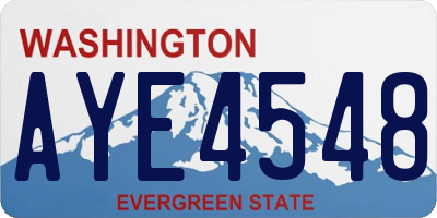 WA license plate AYE4548