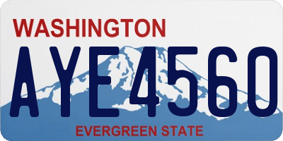 WA license plate AYE4560