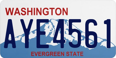 WA license plate AYE4561