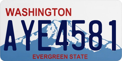 WA license plate AYE4581