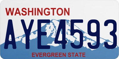 WA license plate AYE4593
