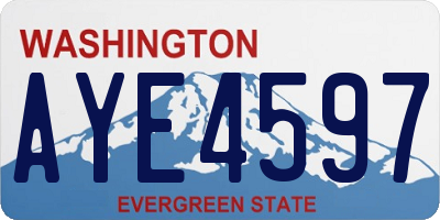 WA license plate AYE4597