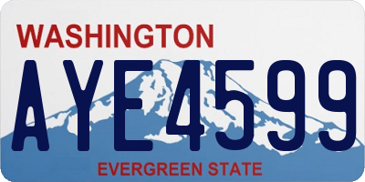 WA license plate AYE4599