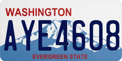 WA license plate AYE4608