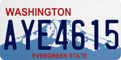 WA license plate AYE4615