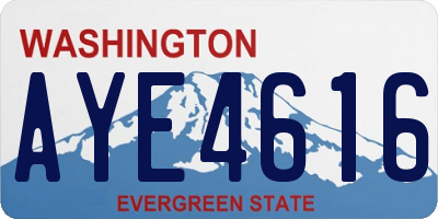 WA license plate AYE4616