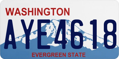 WA license plate AYE4618