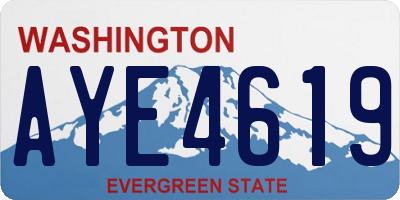 WA license plate AYE4619