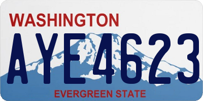 WA license plate AYE4623