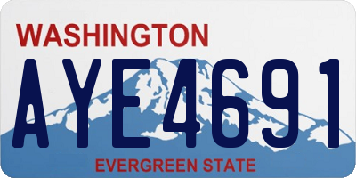 WA license plate AYE4691