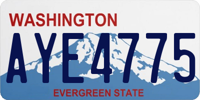 WA license plate AYE4775