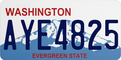 WA license plate AYE4825