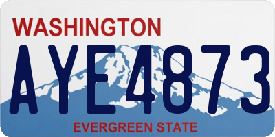 WA license plate AYE4873