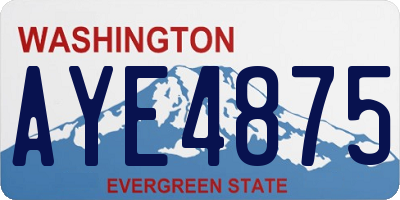 WA license plate AYE4875