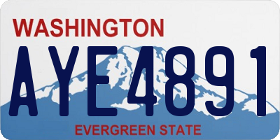 WA license plate AYE4891