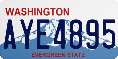 WA license plate AYE4895