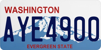 WA license plate AYE4900