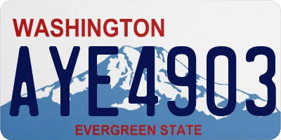 WA license plate AYE4903