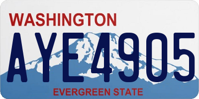 WA license plate AYE4905