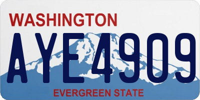 WA license plate AYE4909