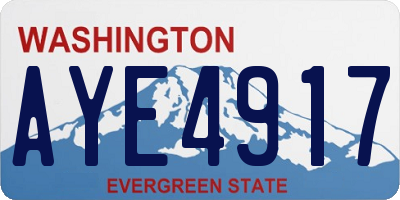 WA license plate AYE4917