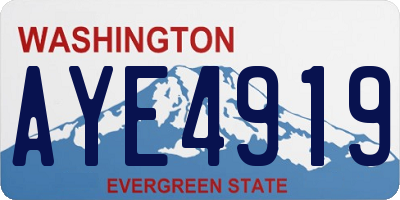 WA license plate AYE4919