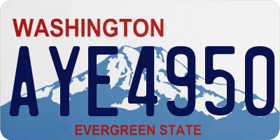 WA license plate AYE4950