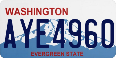 WA license plate AYE4960